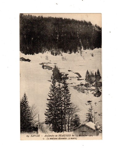 Postcard savoy - postcard,