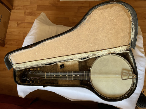 Vintage string banjolin - vintage,