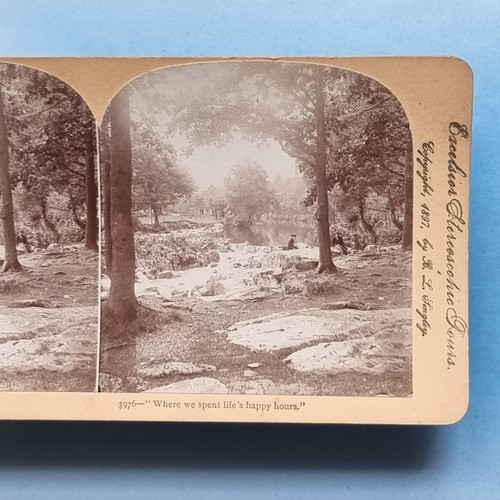 Stereoview card real - card, photo