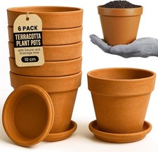 6 Pack Terracotta Plant Pots -
