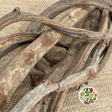 Vine stalks decorative, for avery and reptile cages