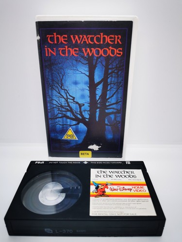 The watcher - in, woods