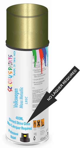 Paint for volkswagen moss - paint,