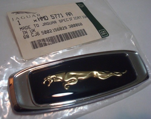 New jaguar xjs - jaguar, left