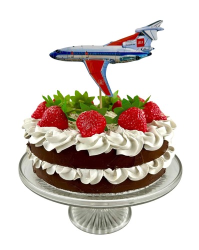 Hawker siddeley trident cake - hawker,