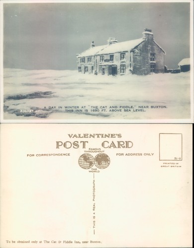 The cat and - fiddle, in