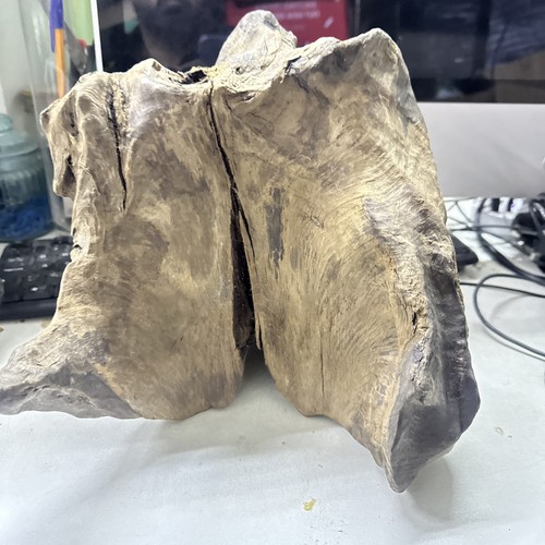 Aquarium wood root fish tank - aquarium,