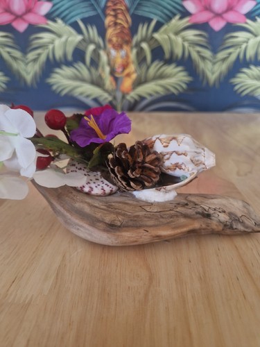 Sea shell and silky - sea, flowers
