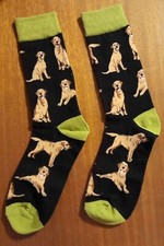 Novelty labrador socks golden - socks,