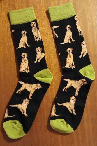Novelty labrador socks golden - labrador,