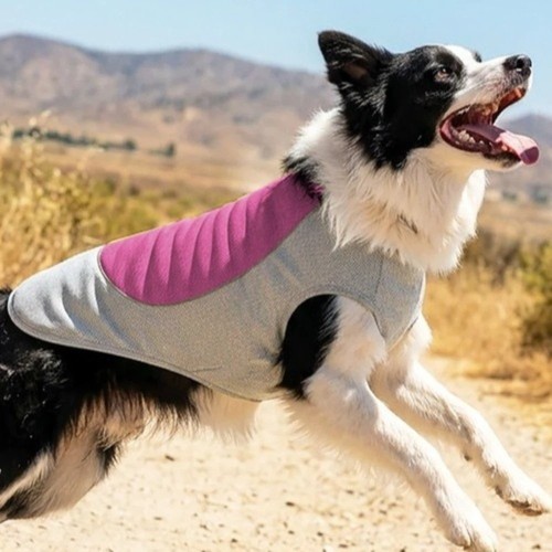 Breathable mesh dog - dog, cooling
