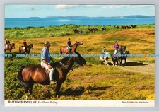 R782049 Butlin Pwllheli Horse