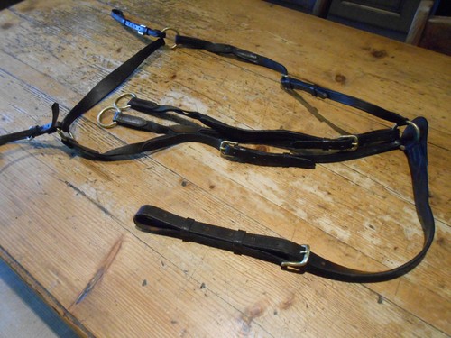 Leather breastplate with - leather,