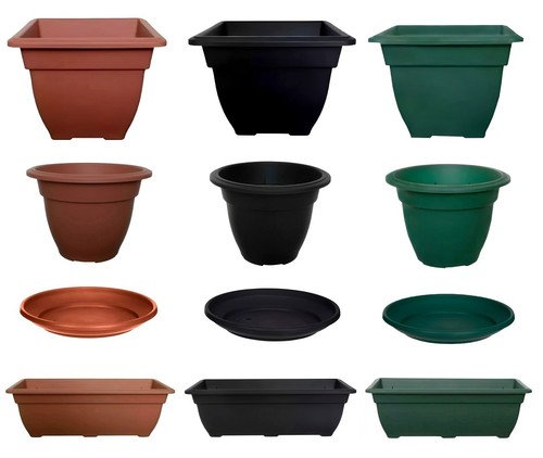 Bell plant flower - plant, pot