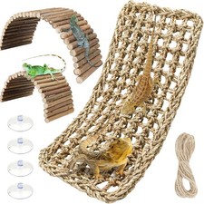 Bearded dragon tank - bearded,