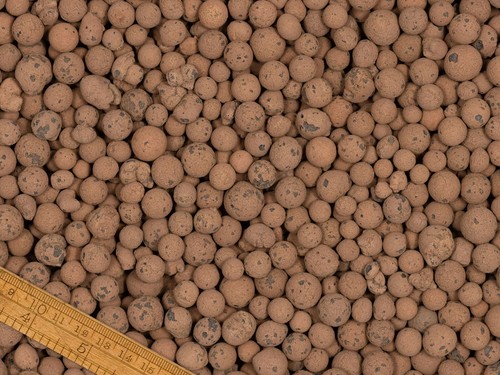 Clay pebbles potting - potting, indoor