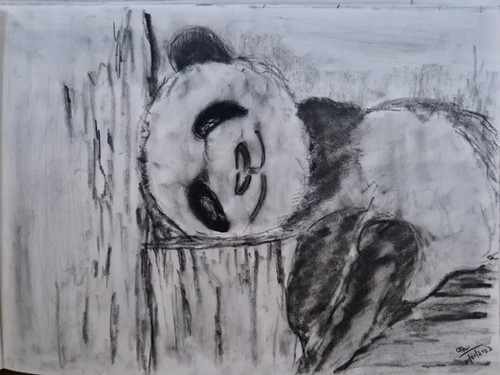 Pencil charcoal drawing - pencil,