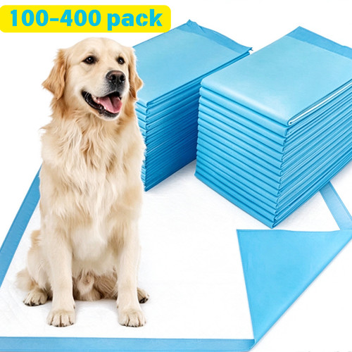100 large puppy - 100, training