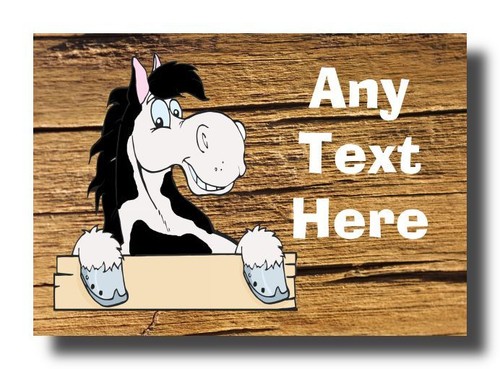 Piebald horse cracked - horse,