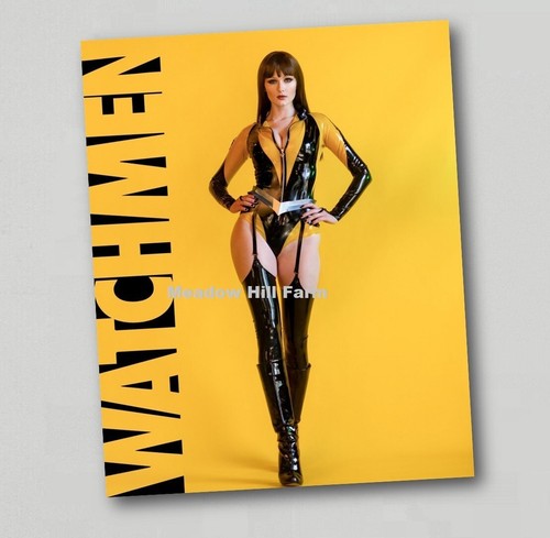Fridge magnet silk spectre - silk,