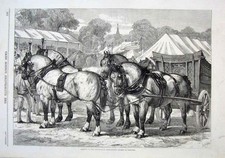 Old antique print horses - antique,