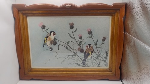 Vintage goldfinch framed - goldfinch,