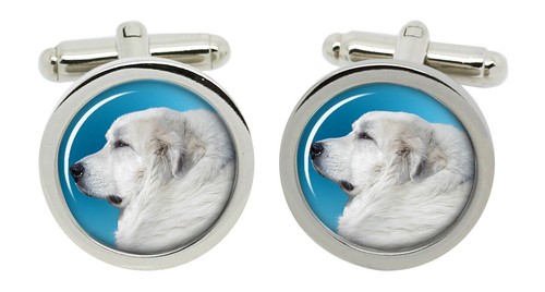 Pyrenean mountain dog - pyrenean,