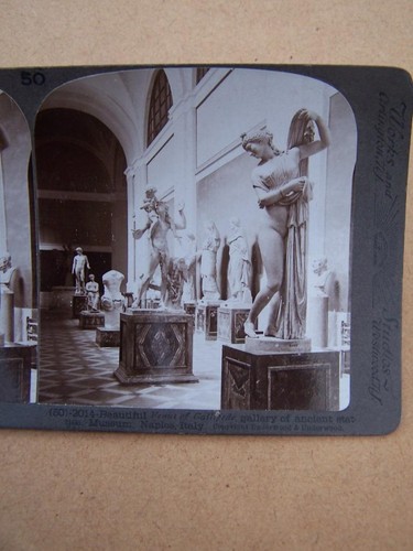 Stereoscopic stereo view - stereoscopic, stereo-view