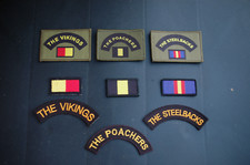 Royal anglian regiment morale - royal,