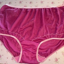 Vtg Panties Sheer Nylon Granny