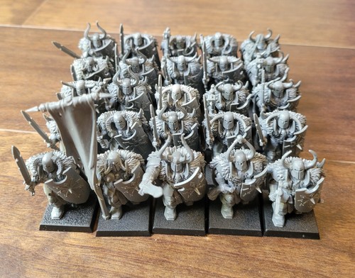 Chaos warriors full - 25,