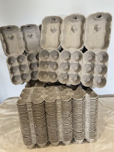 New half dozen - grey, egg