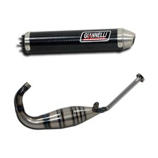 Full system exhaust carbon - system,