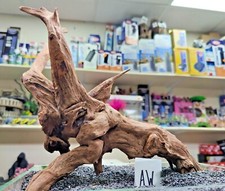 Premium aged mangrove root - premium,