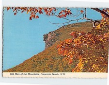 Postcard Old Man of the