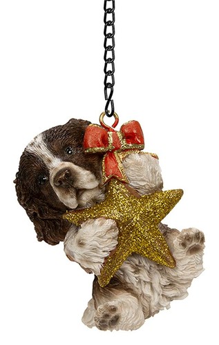 Springer spaniel puppy dog - springer,