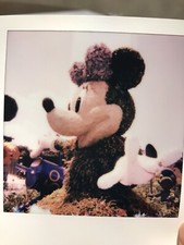 Authentic Polaroid Picture