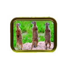 New MEERKAT Mongoose African