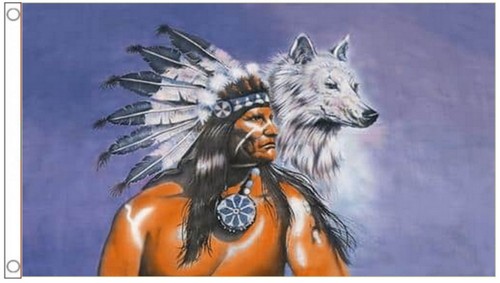 Native american indian wolf - native,