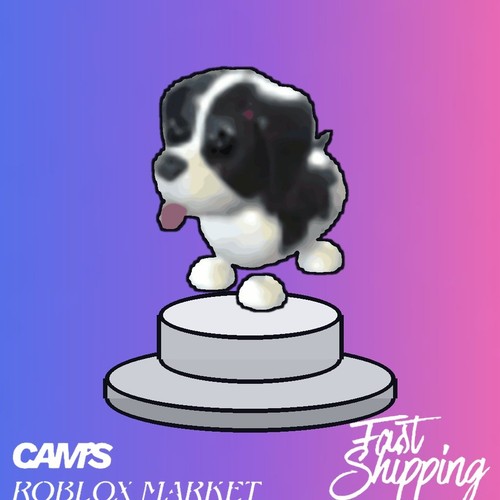 Black springer spaniel fast - black, |