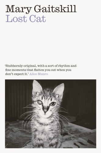 Lost cat mary gaitskill - lost,