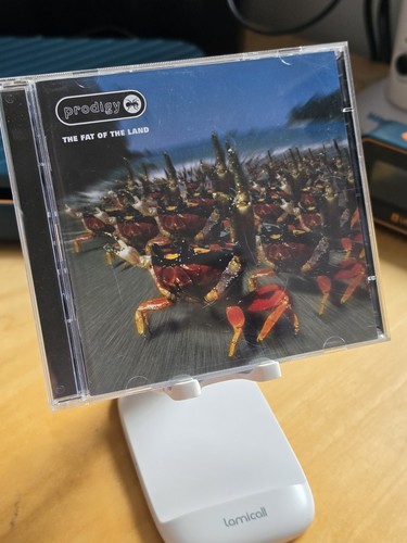Prodigy fat the land - fat,