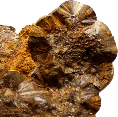 Goethite wood iron restormel - wood,