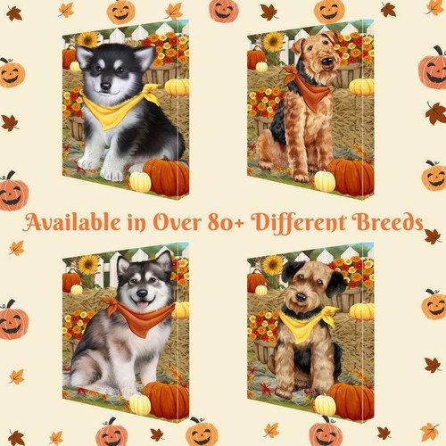Fall autumn greeting - fall, cat
