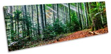 Forest Landscape Sunset Rays CANVAS WALL ART Panoramic Framed Print