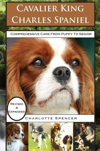 Cavalier king charles spaniel - charles,
