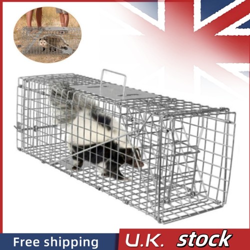 Extra large animal - large, cage