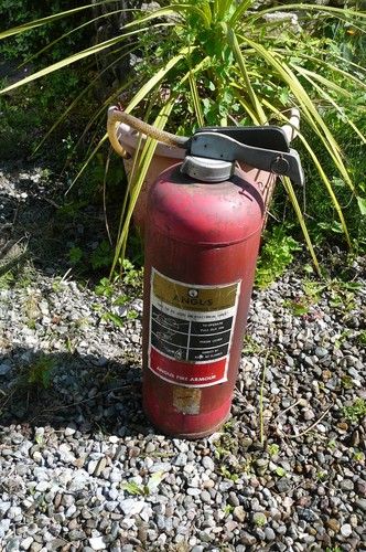 Vintage angus fire - vintage,