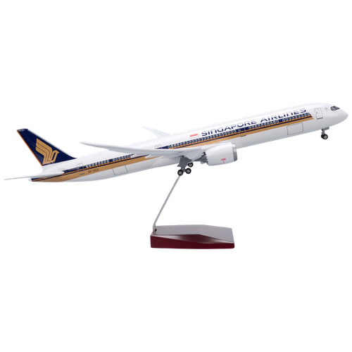 Extra large singapore airlines - large,