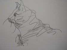 Pencil scribble semi-abstract